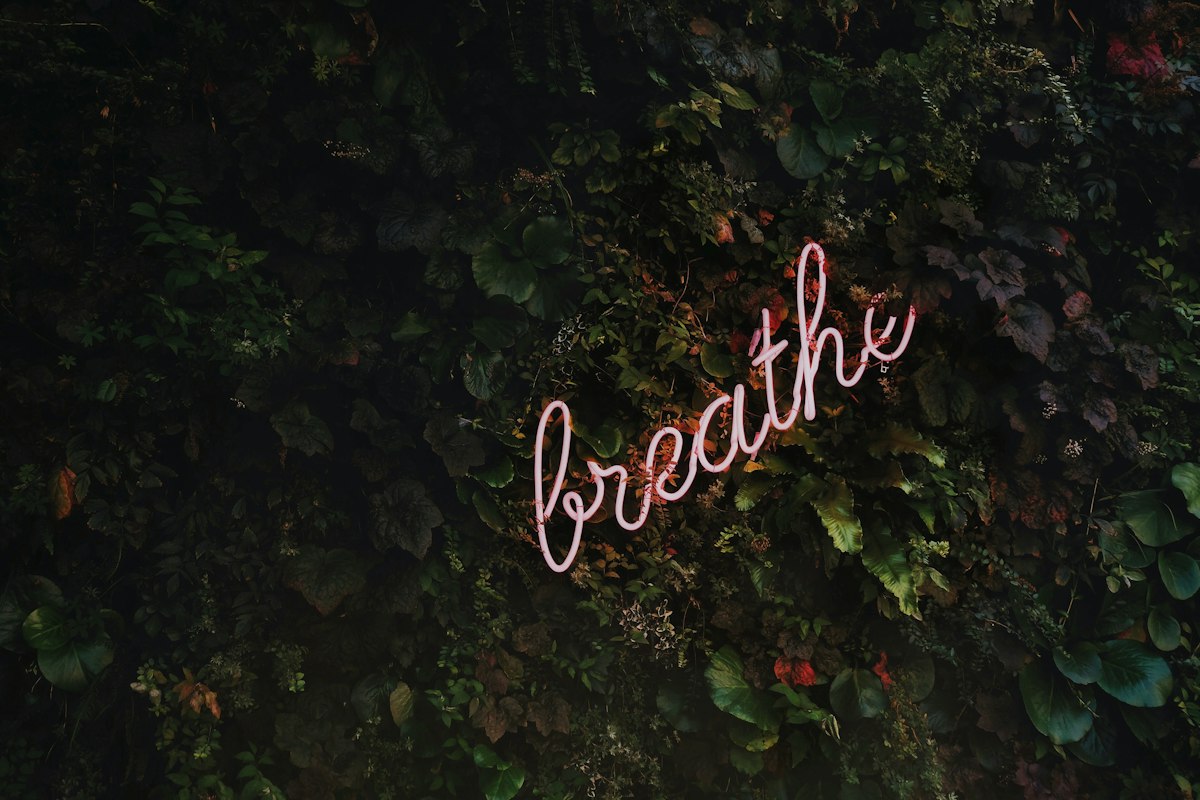 Neon LED installation by YARLED team